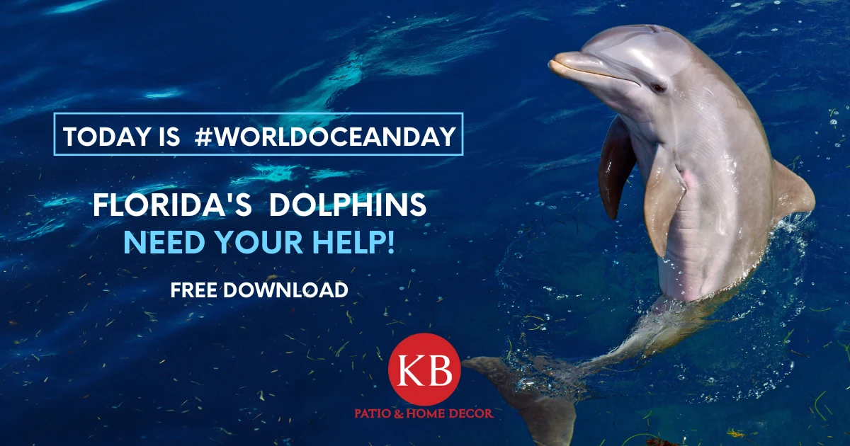 KBP 24 06 03 Mon World Oceans Day Blog Post Dolphins